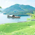 松果66458736