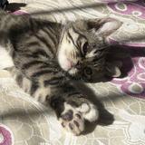 我和一个傻子聊天呢头像