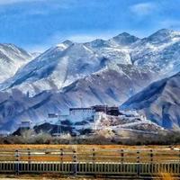 潇湘夜雨雨不停头像