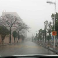 Ly亮剑陶瓷头像