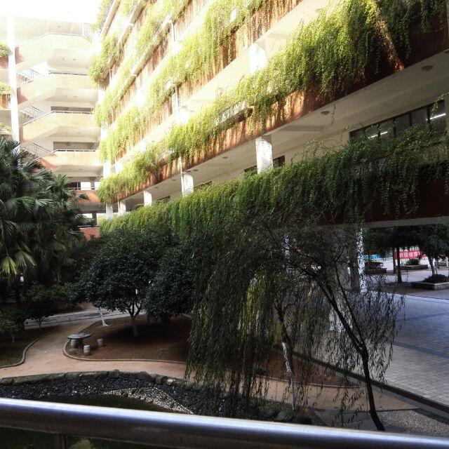 天马一跃