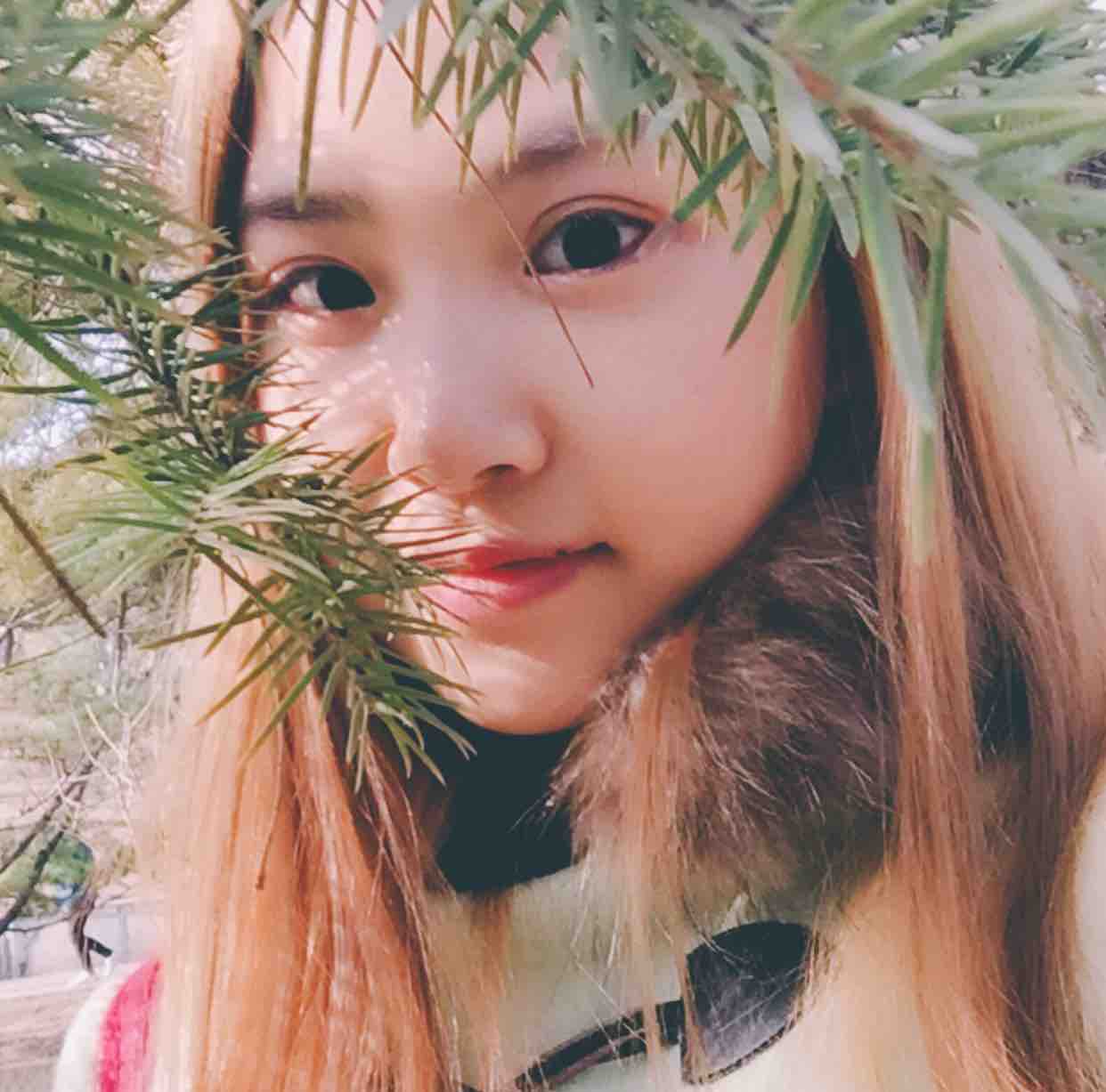 千秋素光