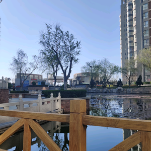 东海海景房小路头像