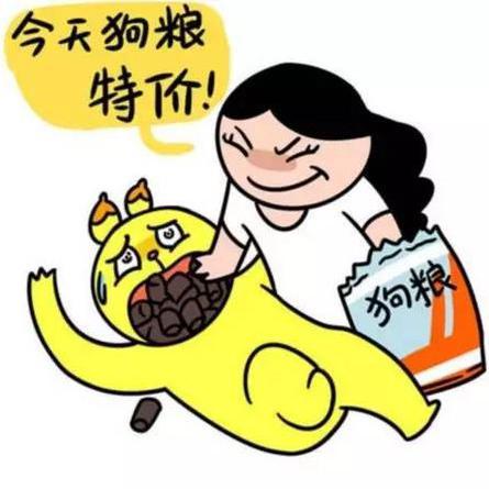 狗粮派头像