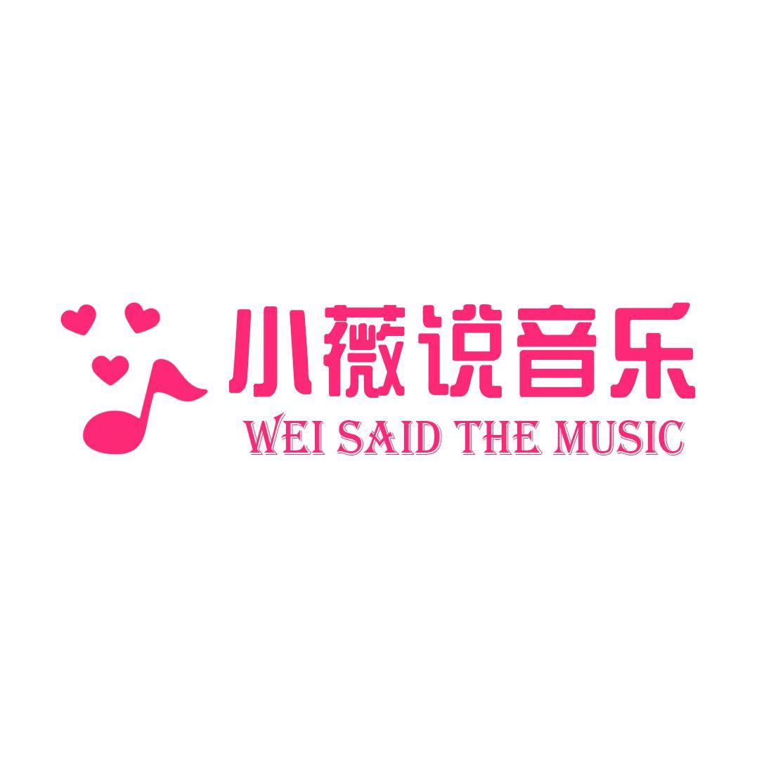 小薇说音乐头像