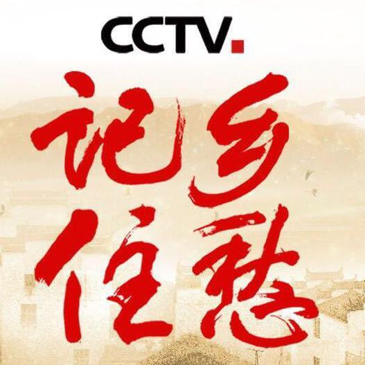 CCTV记住乡愁头像