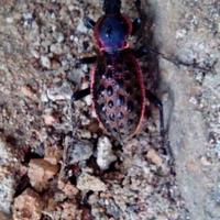 一个人旅行头像