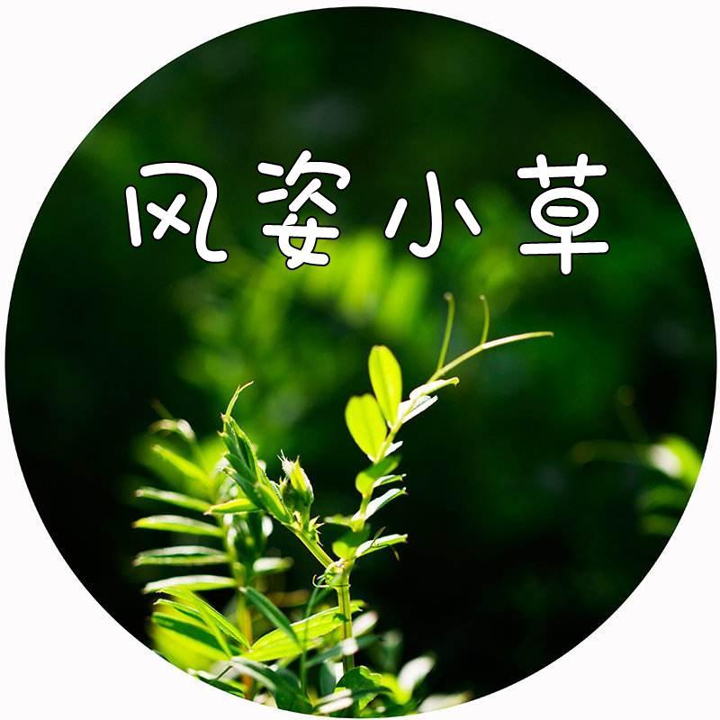 风姿小草头像