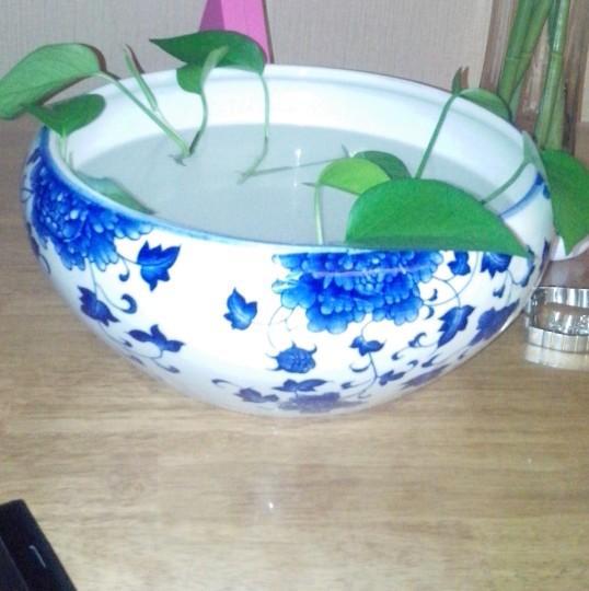 泡沫65599