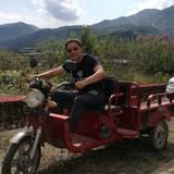 热情的奶酪3v2头像