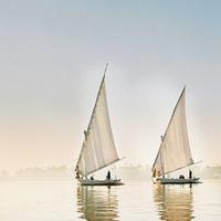 一坨一坨13头像