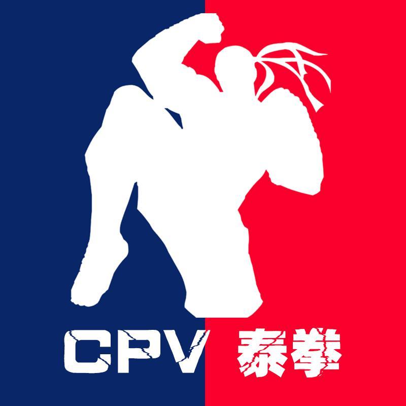 CPV泰拳头像