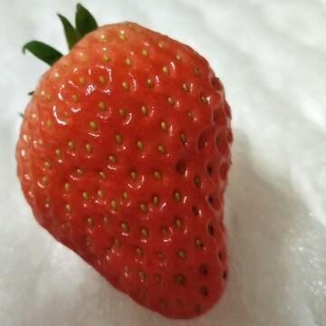 苏南苏南苏南