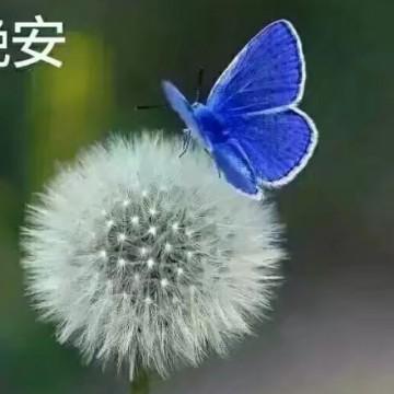 幽灵上天