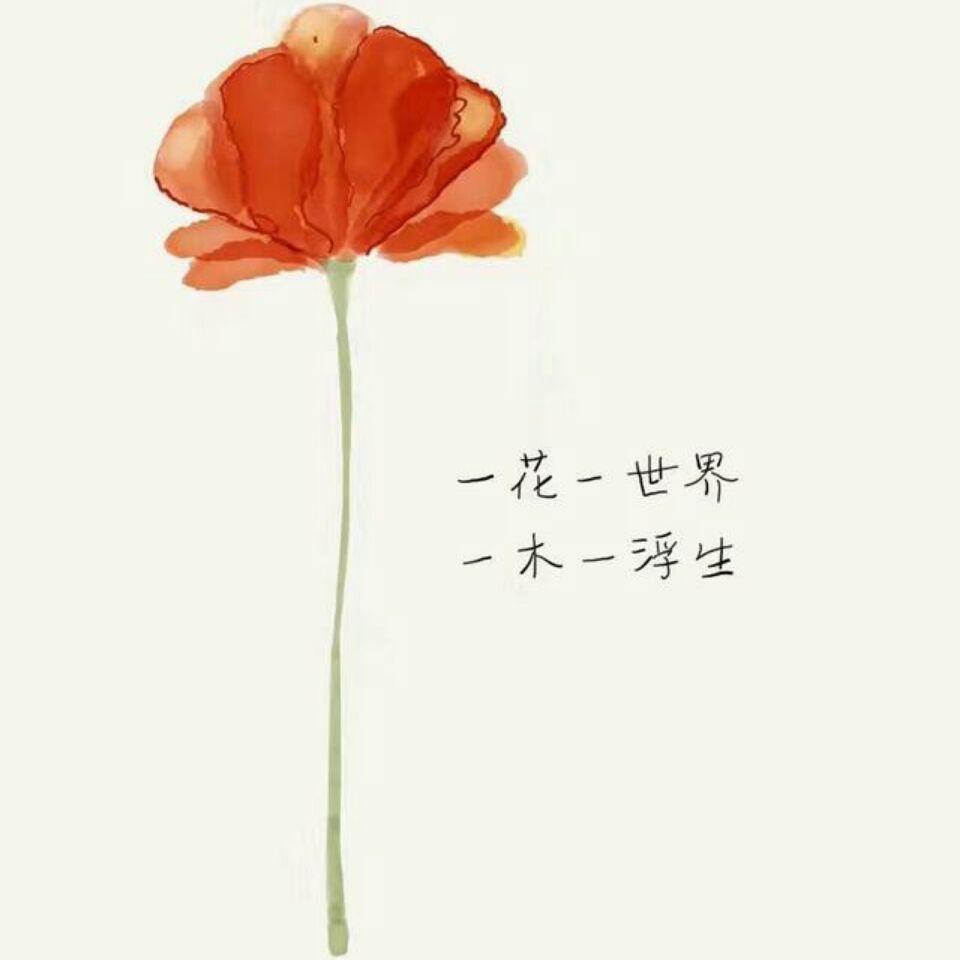 做水晶虾饺的皮为什么要用混合粉？-鱼小欠儿188的回答-悟空问答