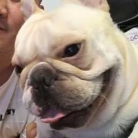 想讲点真话头像