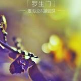 1978我来了头像