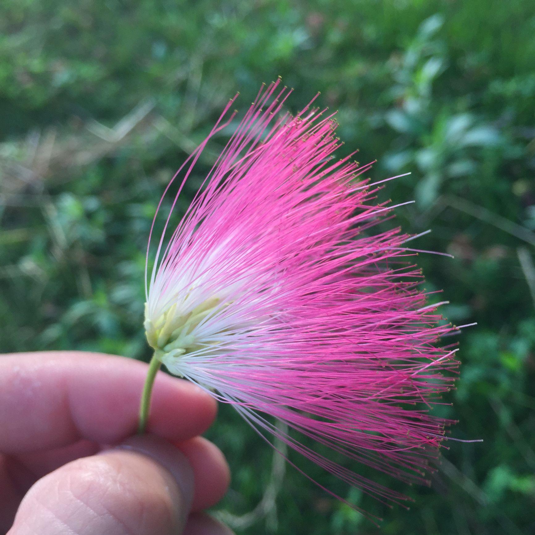 芦溪河水头像