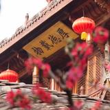 阿拉蕾176636208头像