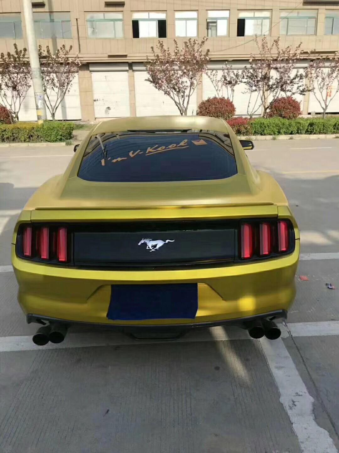 金色野马有些黄