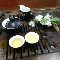 自由茶道头像