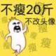 峰回路转1975头像