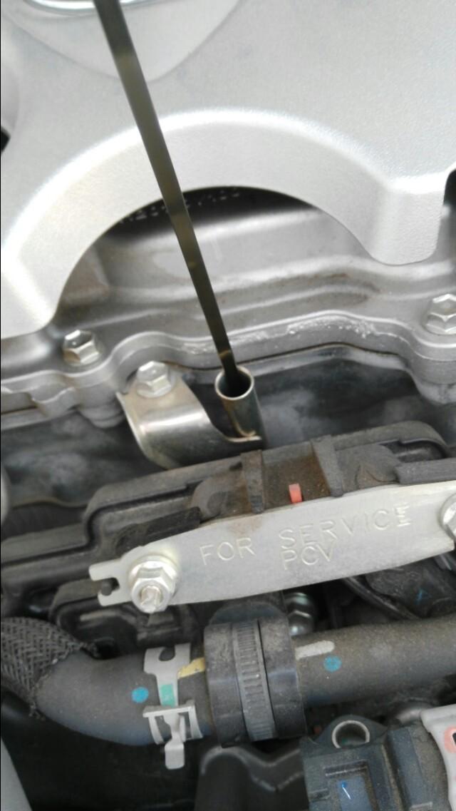 这里是卡罗拉的机油尺,大家可以看下_卡罗拉车友圈_懂车帝