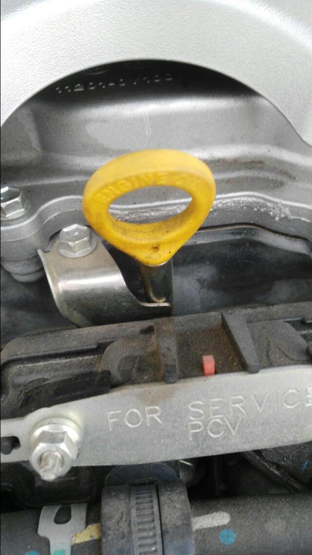 这里是卡罗拉的机油尺,大家可以看下_卡罗拉车友圈_懂车帝