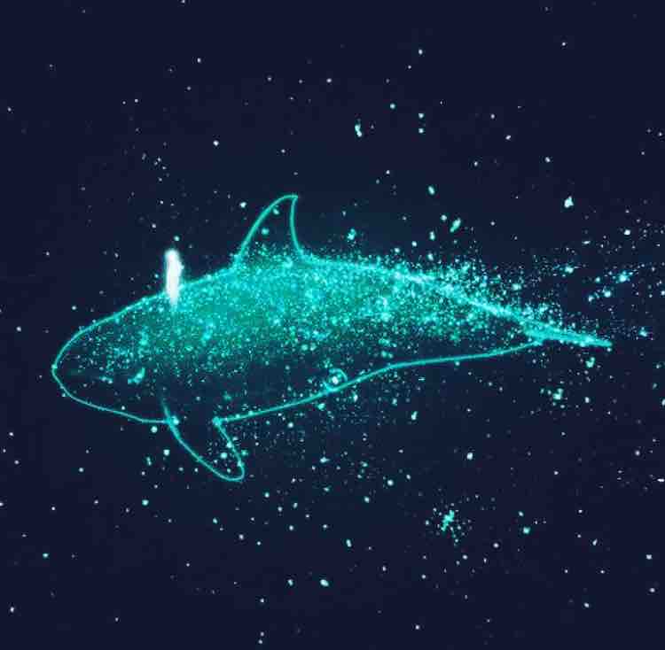 头条问答 复仇者联盟3 无限战争 值得期待吗 Edm丶yu的回答 0赞