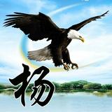骆驼刺10727509头像