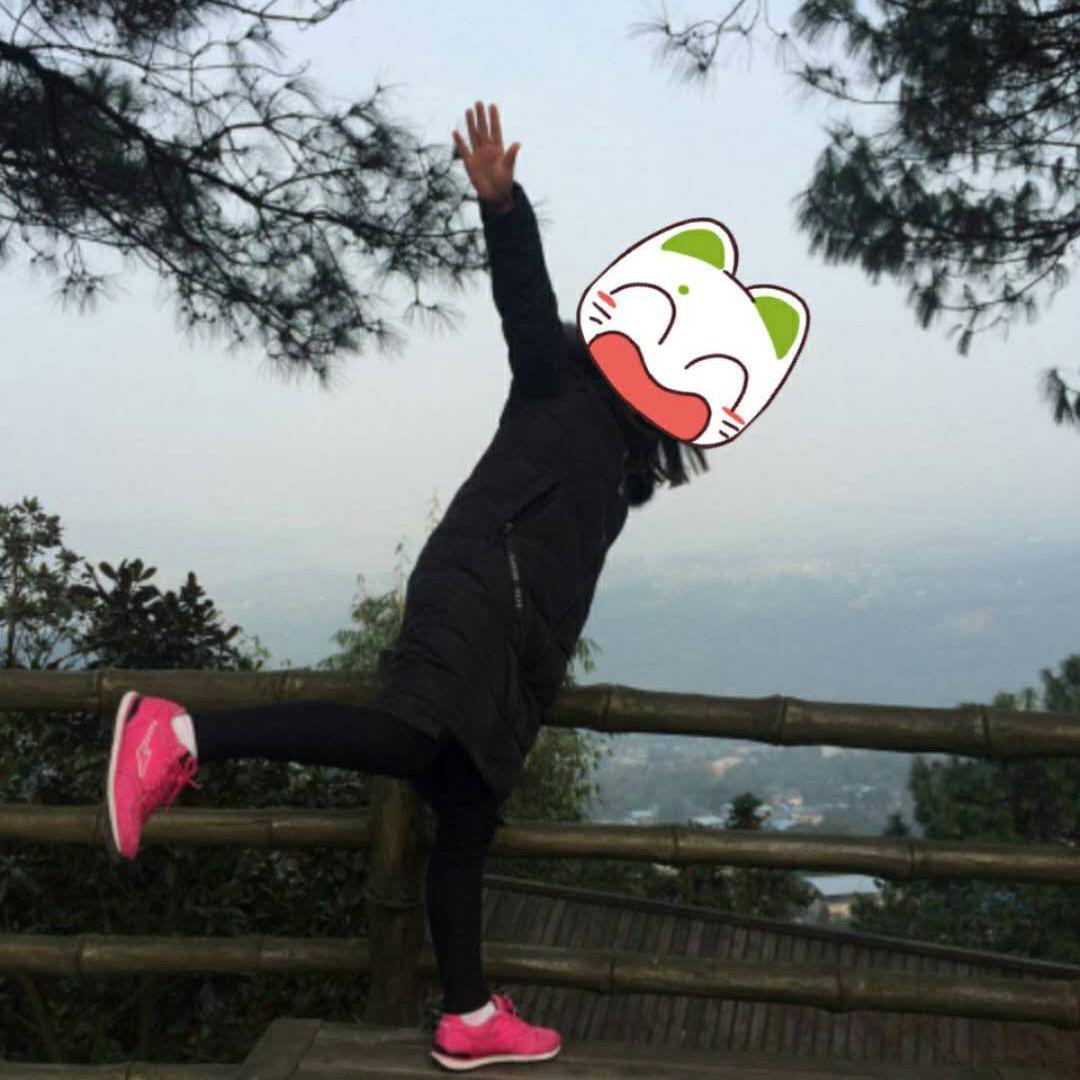 林中升起的彩