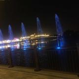 8066666头像