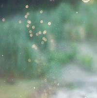 zhang103942618头像