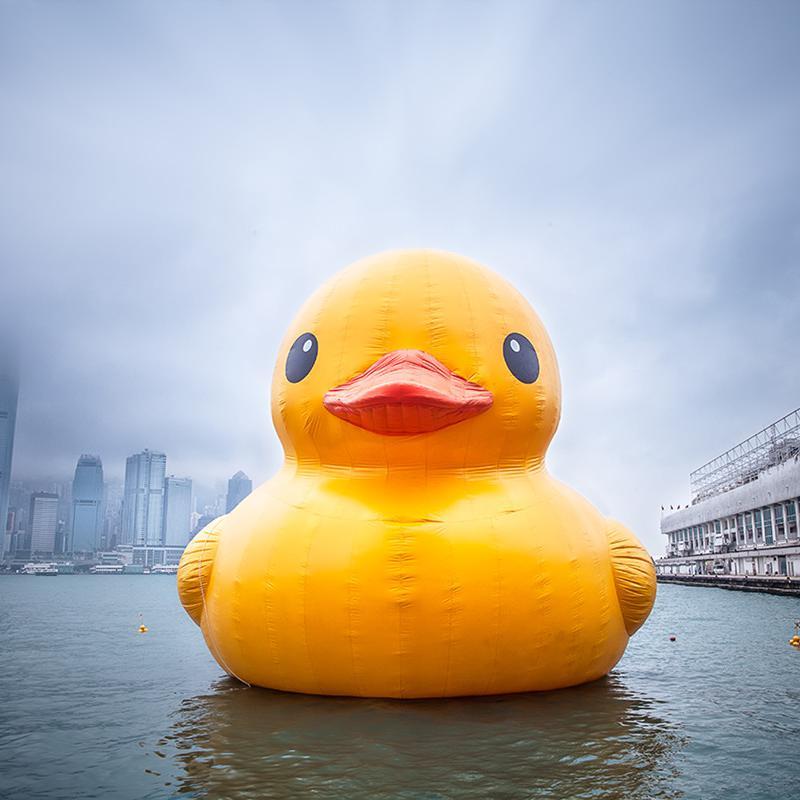 大黄鸭视频头像