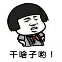 ST275头像