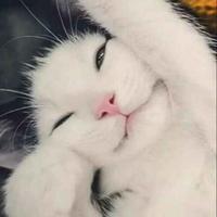 自由的花树头像