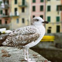 浩子哥哥1234头像