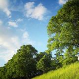 草原之夜154头像