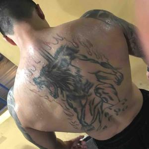 永康郑武雄头像