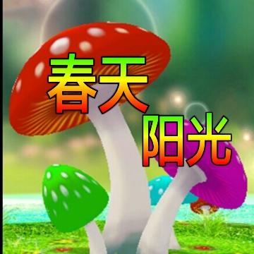 阳光影视音乐头像