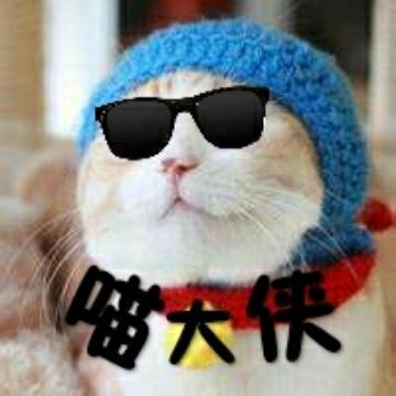 悦宠喵大侠