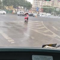 幸运春风GT头像