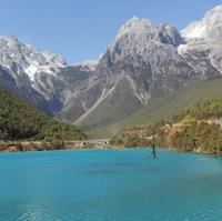 孤独的猎手心头像