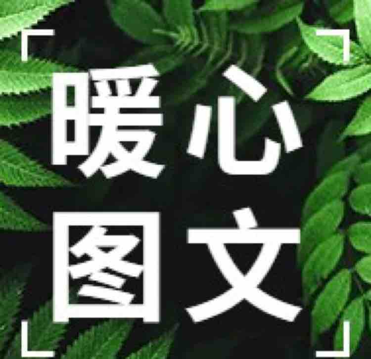 每日暖心图文头像