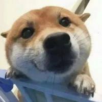 人生难测9495头像