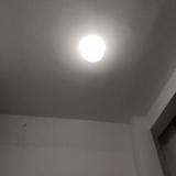 15005716335头像