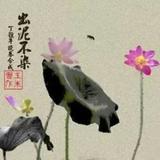 清水漫漫莲花一片头像