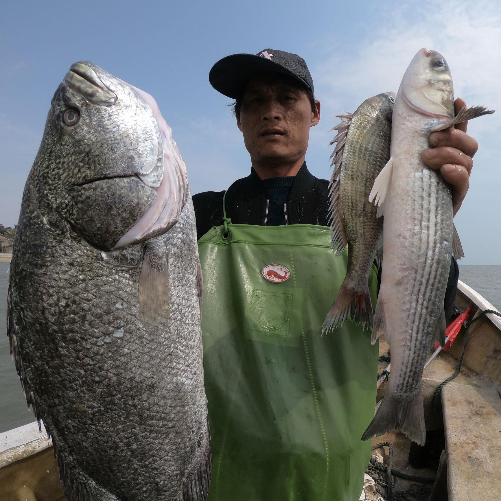 馒头赶海