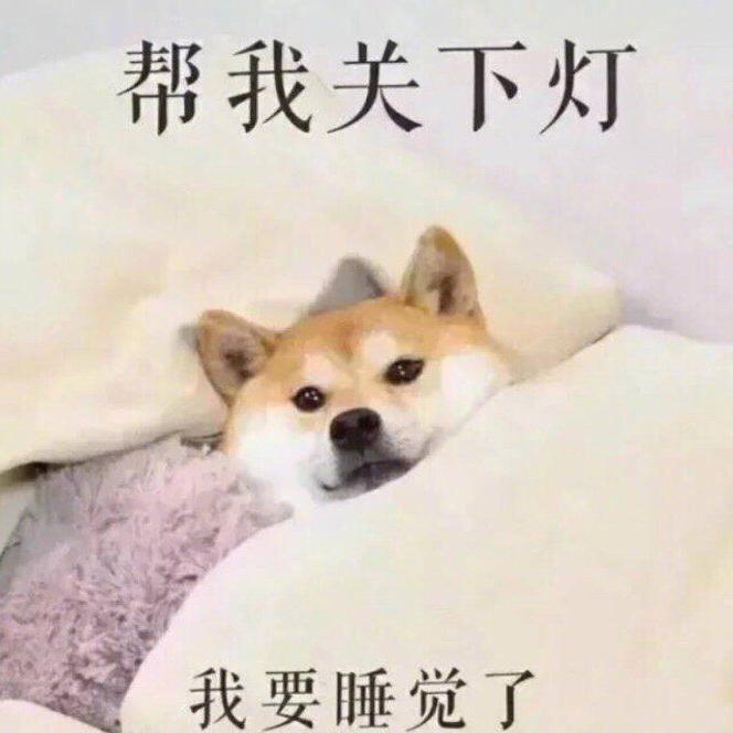 柴柴互娱头像