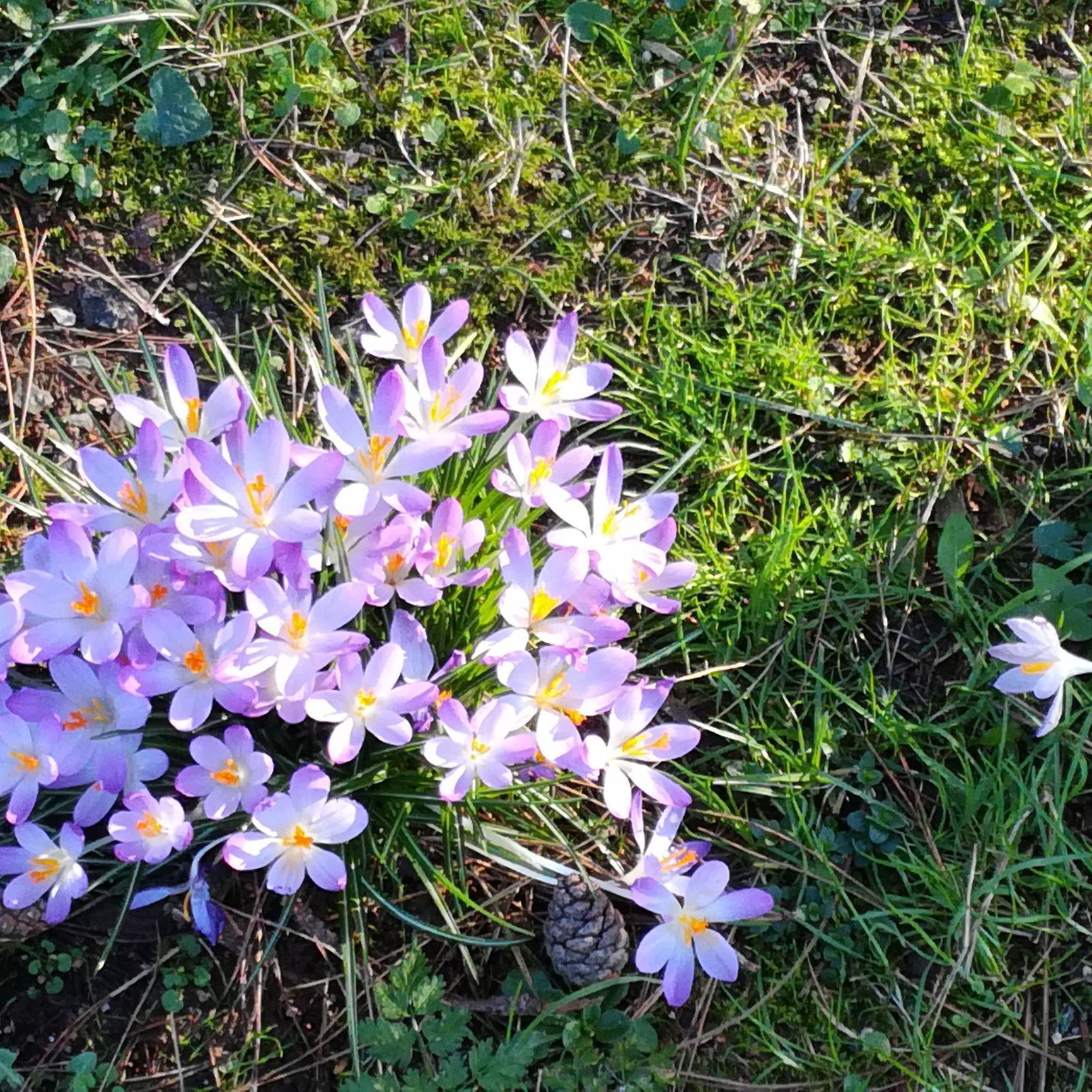 头条问答 为什么大学生可以谈恋爱 而中学生不建议谈恋爱 登录法国的回答 0赞